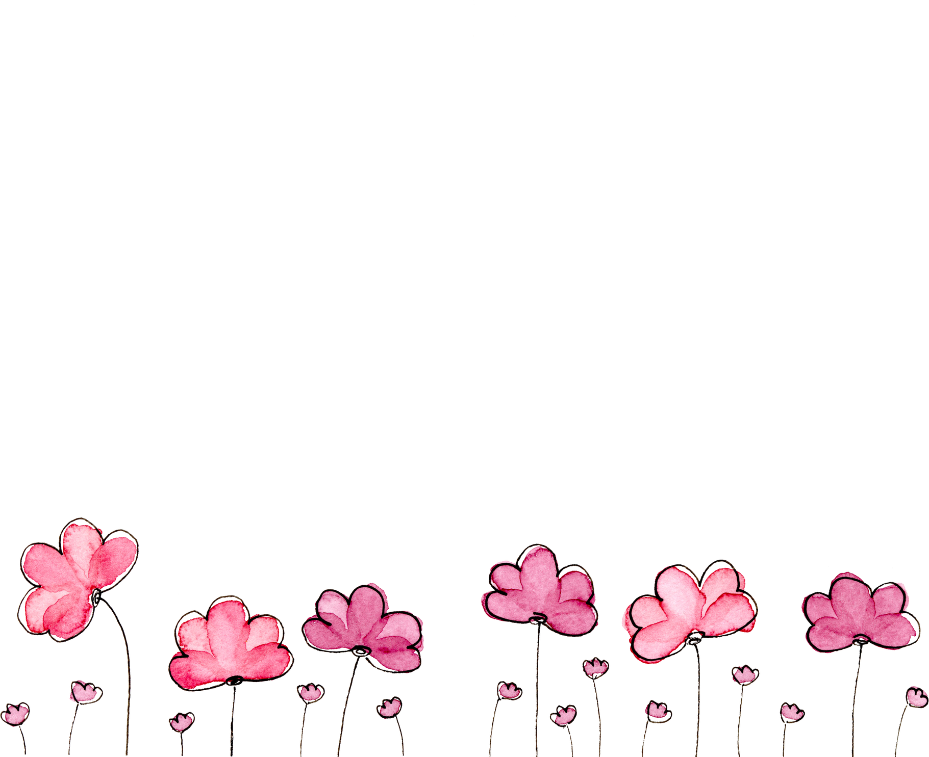 Pink Flowers Illustration